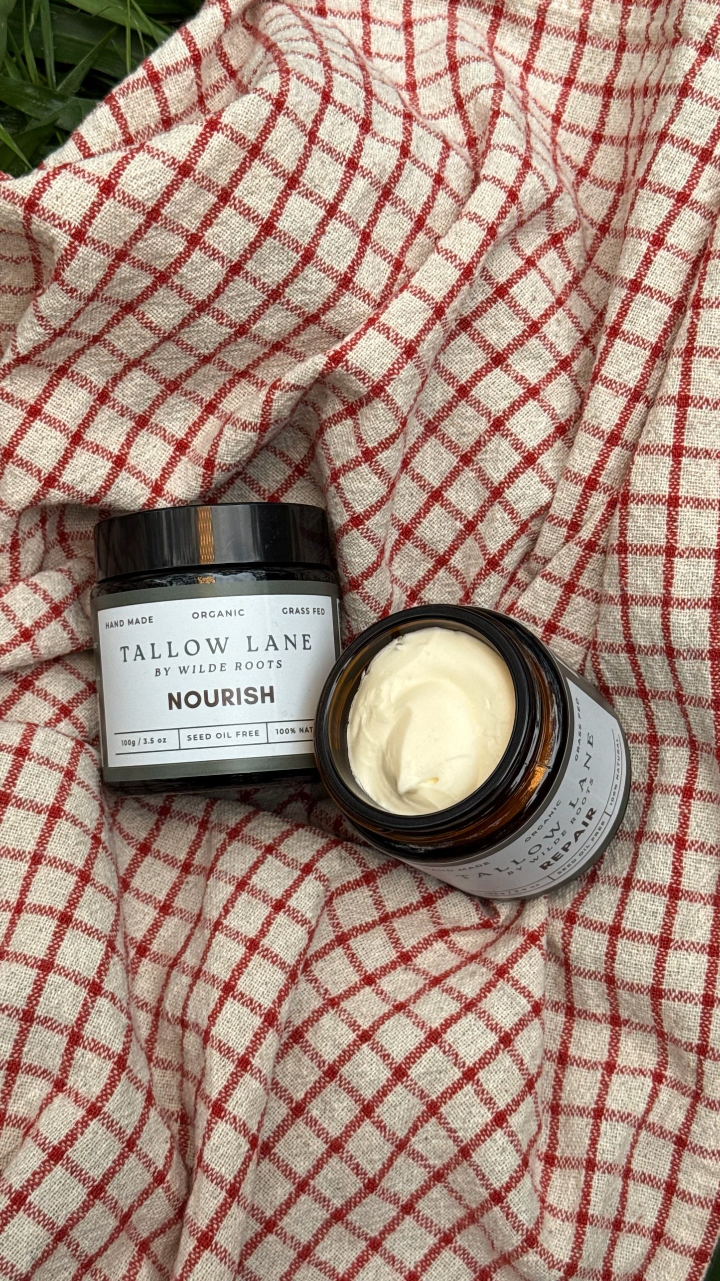 Tallow Nourish Balm